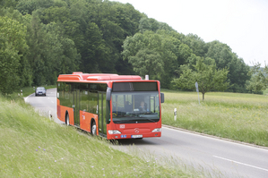 Roter Bus auf einer Straße in ländlich-grüner Landschaft