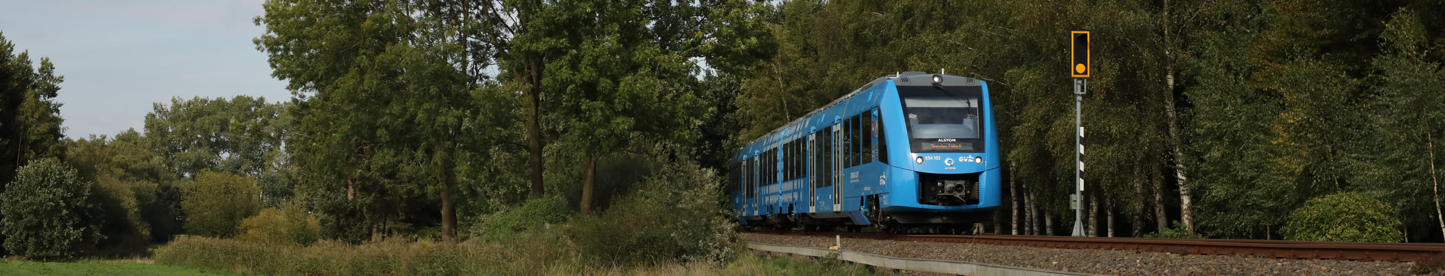 blauer Wasserstoffzug fährt aus Waldstück herausWasserstoffzug faehrt aus Waldstueck heraus