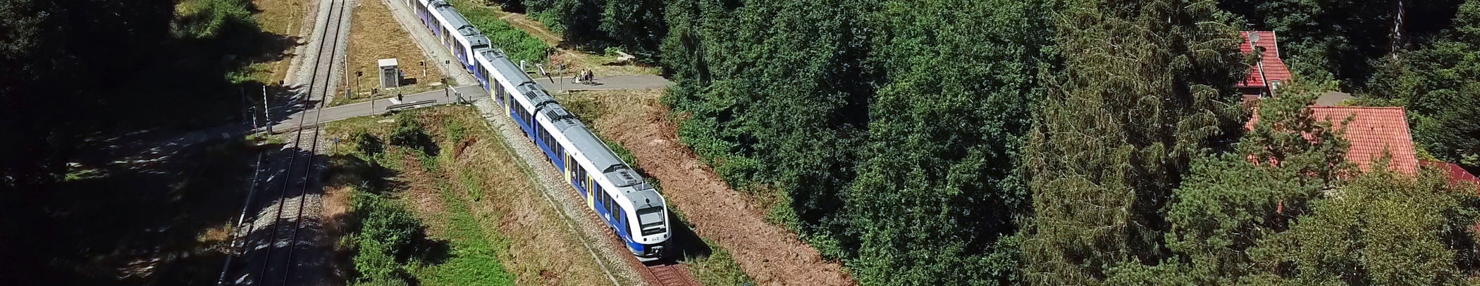 Wasserstoffzug von oben aus größerer Entfernung in Waldgebiet